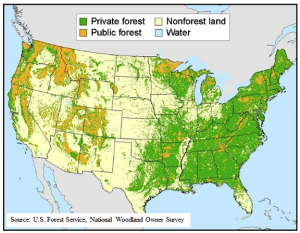 Ownership of US forest land